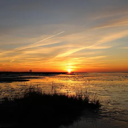 Kleiner Seestern Inkl Ebikes * Cuxhaven