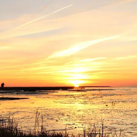 Apartament Kleiner Seestern *