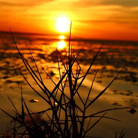 Apartamento Kleiner Seestern