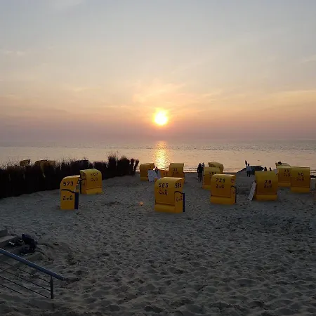 Kleiner Seestern * Cuxhaven