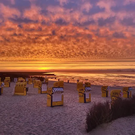 Kleiner Seestern شقة