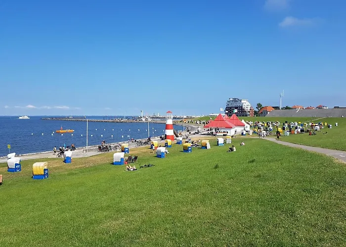 Daire Kleiner Seestern *