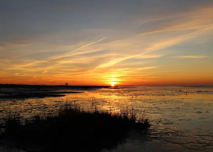 Kleiner Seestern * Cuxhaven