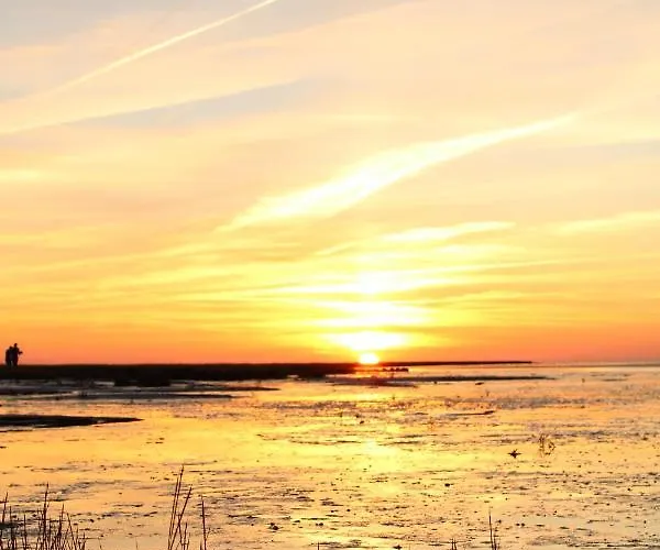 Daire Kleiner Seestern *