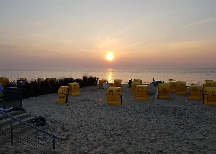 Kleiner Seestern * Cuxhaven