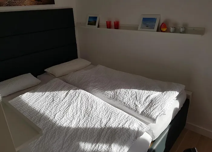 Kleiner Seestern Daire Cuxhaven