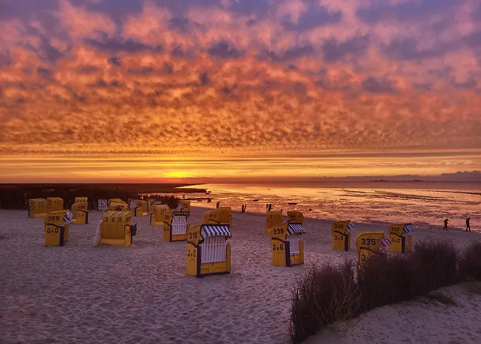 Kleiner Seestern Daire